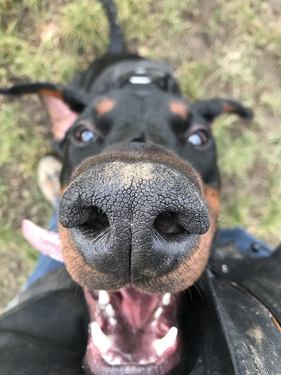shadow88_'s tweet photo. #MisterAce #vomjagerhohle #clubdobe https://t.co/X9e2h1J8C5