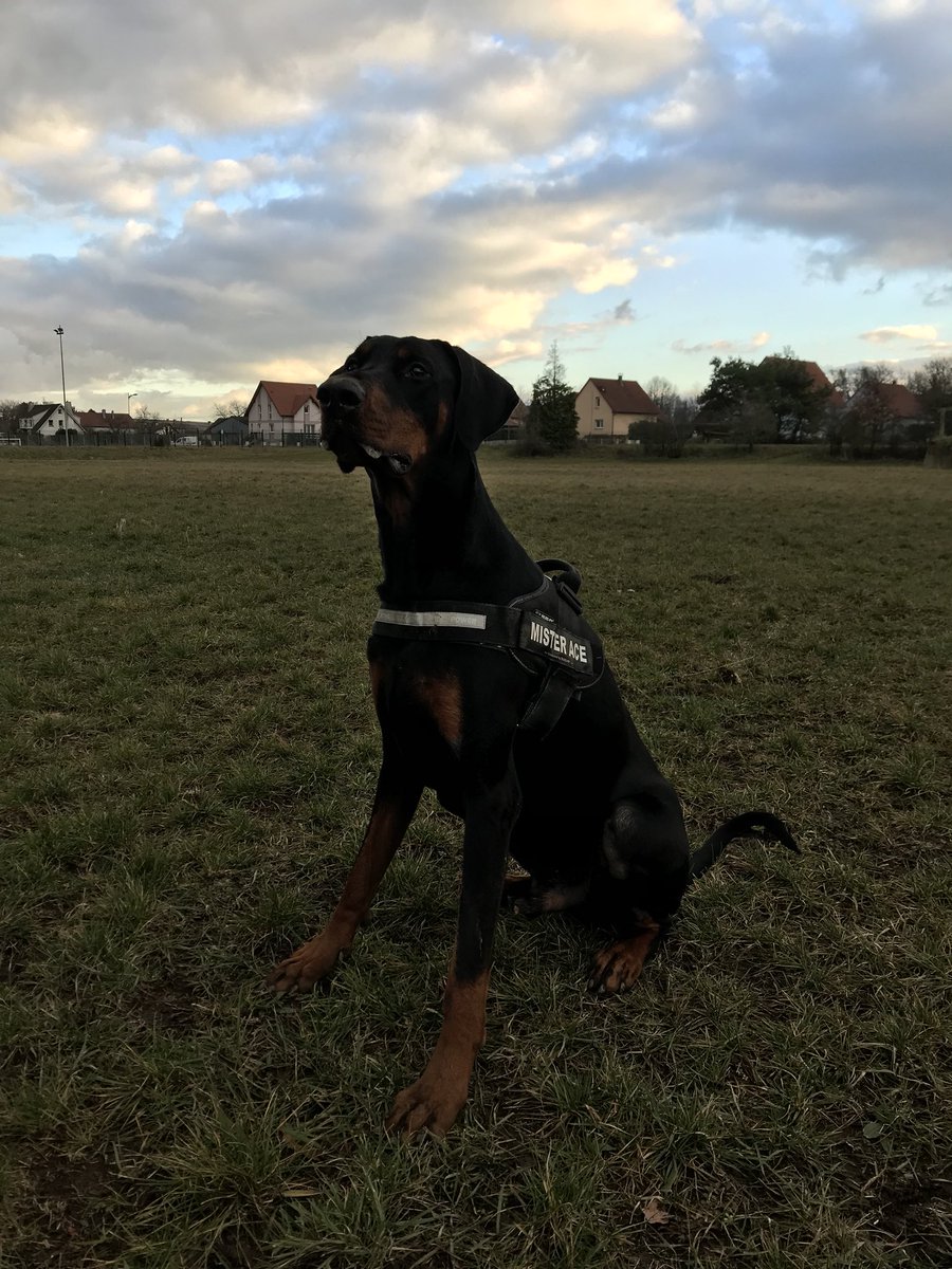shadow88_'s tweet photo. #MisterAce #vomjagerhohle #clubdobe https://t.co/X9e2h1J8C5