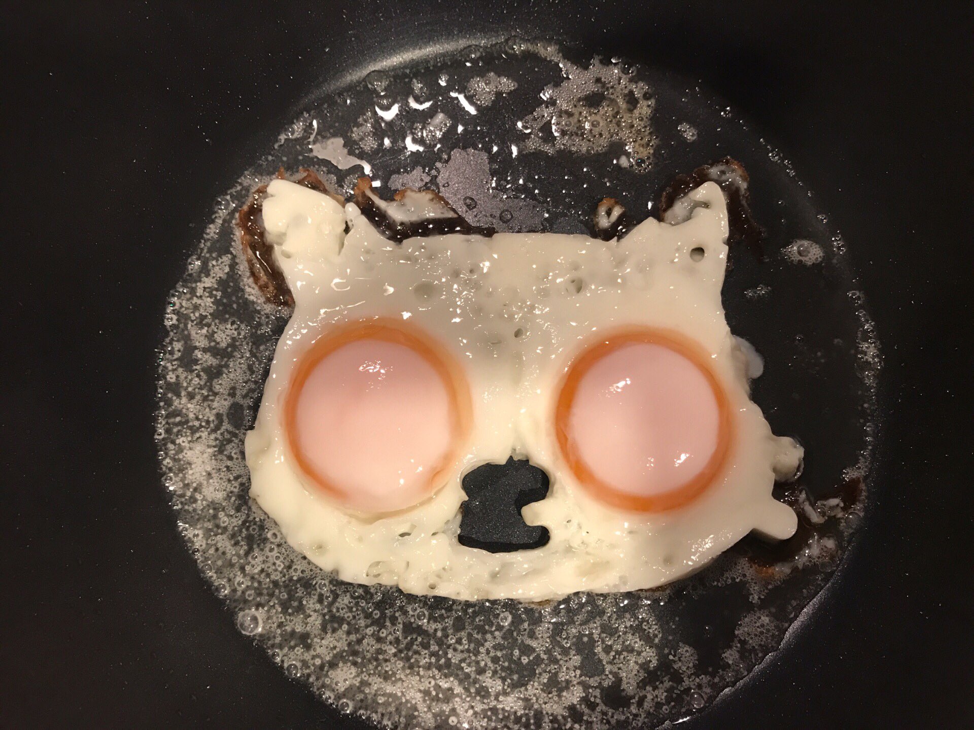 かわいい目玉焼きを作るはずだったのに ちょっと怖いものが出来る 話題の画像プラス