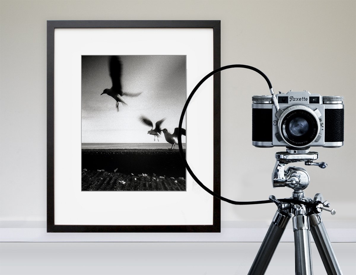 Shooting this 1950's Braun Paxette 35mm Camera at the weekend and created this Silver Gelatin Print in the darkroom of Seagulls at Shanklin. No software, batteries or SD Cards to worry about. Just Silver, Chemicals and Light. #filmphotography