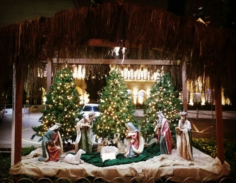 simone_cn's tweet photo. " Cantai ao Senhor Deus um canto novo, louvor a ele dos confins de toda a terra." #liturgia #natal #cancaonova #cnabracasp https://t.co/QYKgx54Kr2