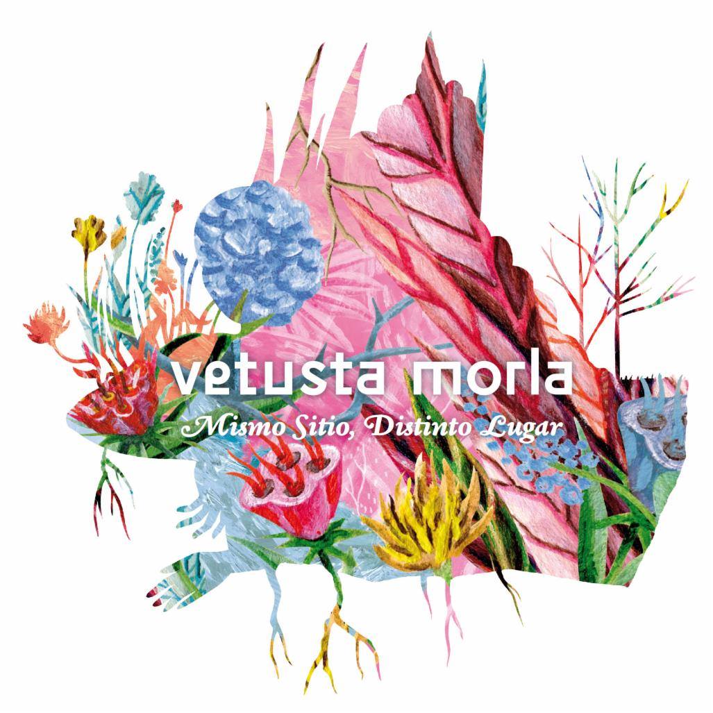 Archetype_ES's tweet photo. .@vetustamorla y el cuaderno de bitácora de su nuevo disco, "Mismo Sitio, Distinto Lugar", que solo podrás ver con tu móvil https://t.co/OoDSmqFDOg https://t.co/K7nbm2FlDX