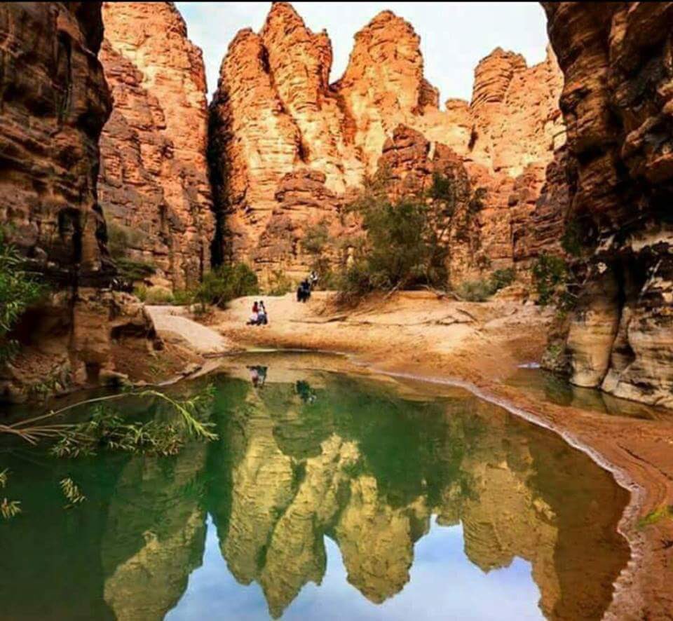 JawadAlbadry's tweet photo. #الجزائر_طبيعه_خلابه
مليون شهيد ثمن الحريه .. https://t.co/Kmb3lzdfOh
