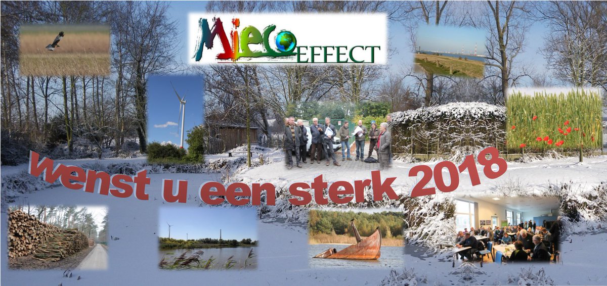 Mieco_effect's tweet photo. https://t.co/ot8v1wUT0b