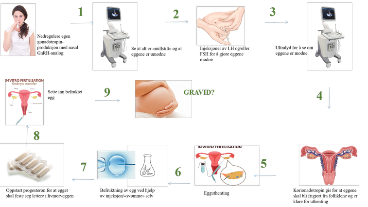 Apokus_no's tweet photo. In vitro fertilisering (IVF) er et av flere behandlingsregimer innenfor assistert befruktning. Les om behandlingen her #IVF #apotek https://t.co/qzDgAEkDLM https://t.co/Fv98epjt2N