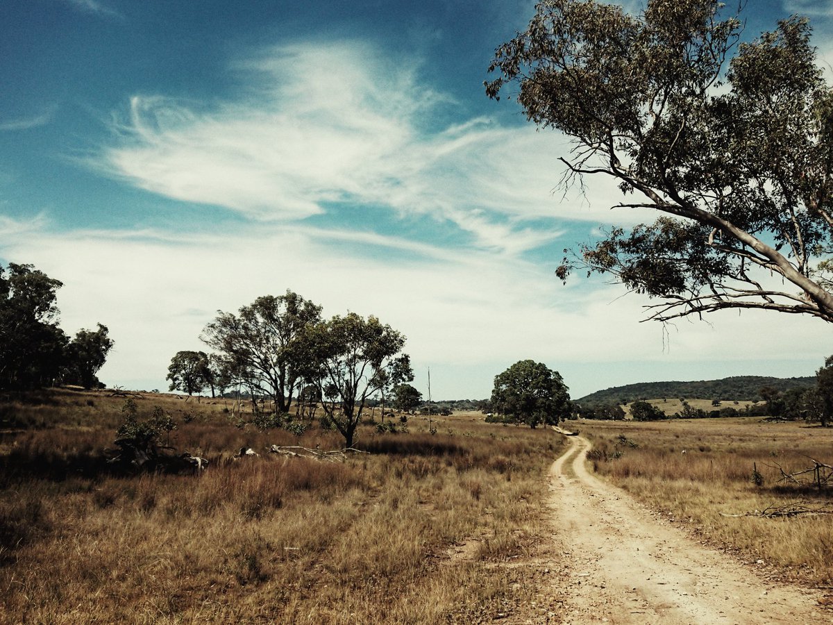 Brayden Vickery (braydenvickery) Twitter