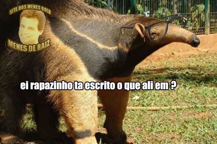 DrMenes's tweet photo. NOVO MENE: O TAMANDUÁ VEGANO https://t.co/ZtARLZGkTn https://t.co/lfiYFPFkhs