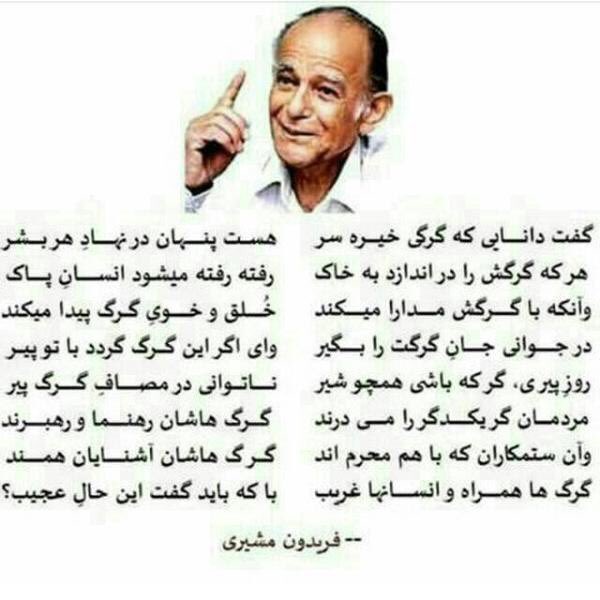 ansari7hamid's tweet image. 