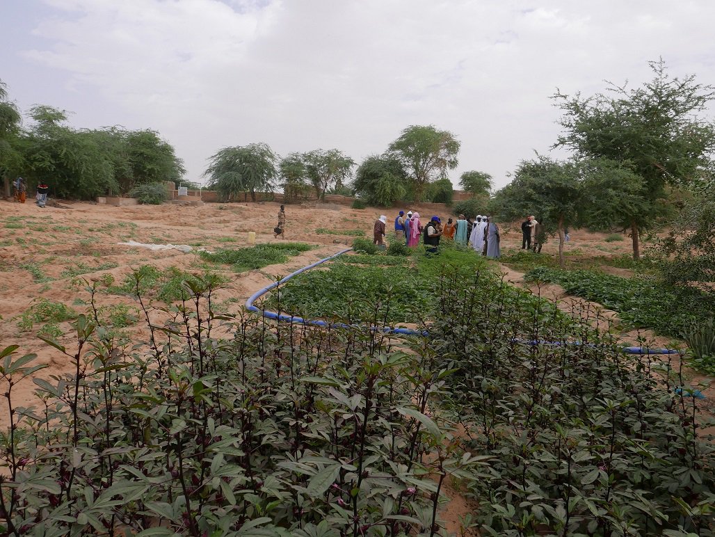 UN_MINUSMA's tweet photo. La @UN_MINUSMA finance l’aménagement de 8 hectares au bénéfice des habitants de #Forgho #Mali. Cliquez ici pour lire l'article ➡️ https://t.co/RcaOATai0t https://t.co/NOeZSZNhDD