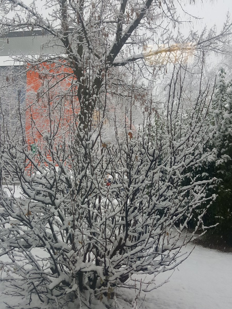 38Fabrice's tweet photo. Hiver quand tu nous tiens https://t.co/PN54ctaWpy