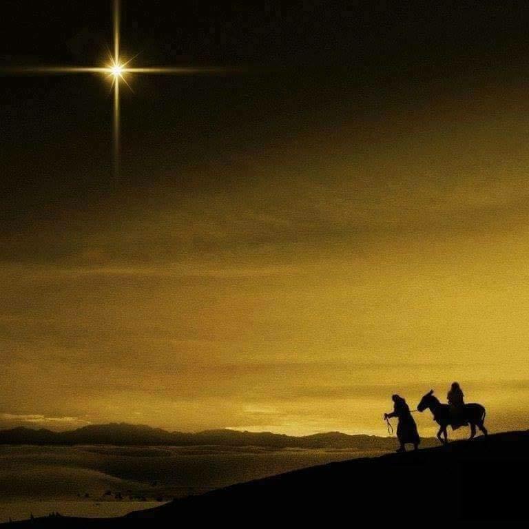 ProsRepair's tweet image. Holiday Special🎄#PropertyRepairPros Gift Certificates! $120 worth of services for only $100. Add $60 increments for only a additional $50 each. Call now 865-675-3608