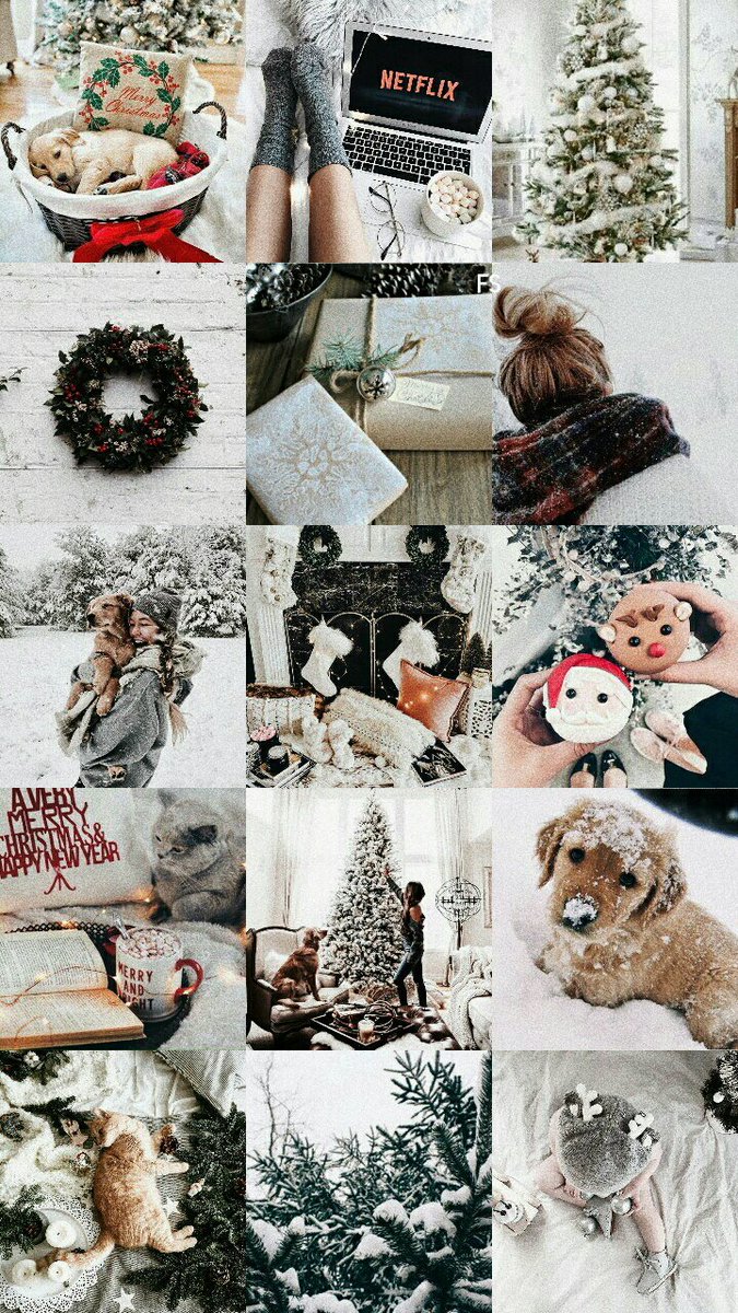 FlowerScreens's tweet image. Merry Christmas Locks;
•fav se gostar
•rt se salvar
•print se usar
/Joana