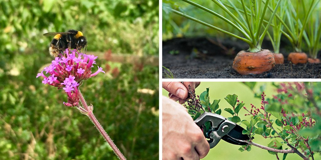 In readiness for the year ahead, take a look at our new #courses for #2018. We'll be starting with Practical #Pruning and How to plan your #growing space plus much more! ow.ly/ezND30hixBH 

Our courses also make the ideal #Christmas #present! 🎁🎁🎁 #mondaymotivation