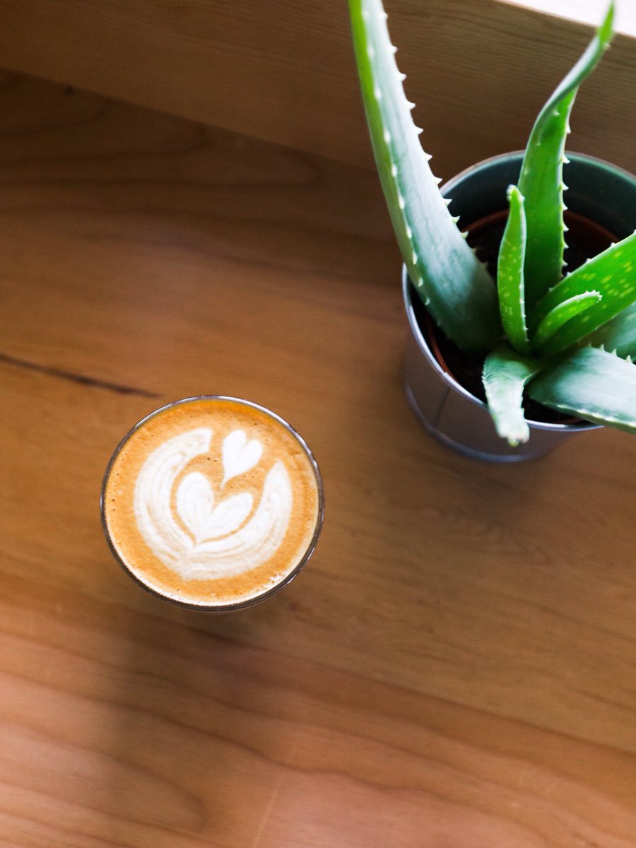 transcendcoffee's tweet photo. Need some fuel to keep up with the festivities? Stop by our Ritchie location for a delicious holiday pick-me-up! #transcendcoffee #christmas #yeg https://t.co/t2UWIVIDYu