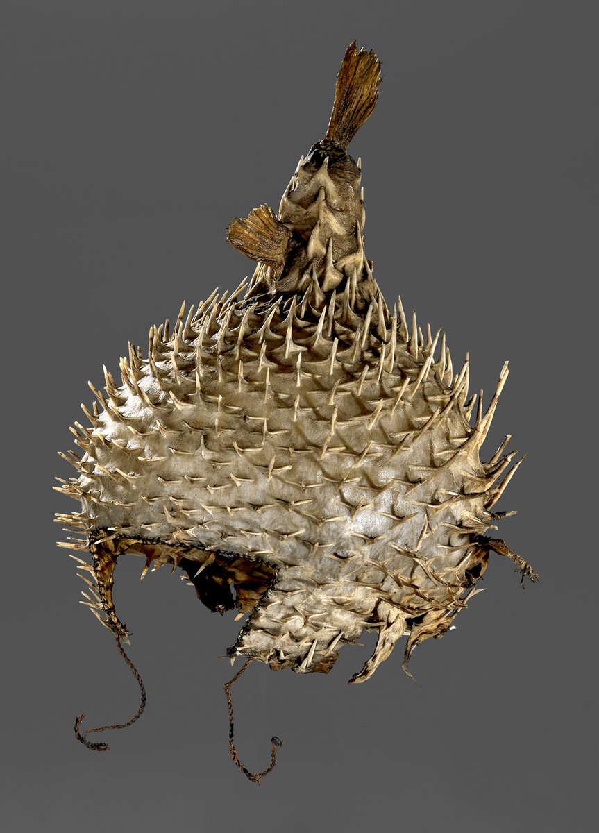 British Museum on Twitter "See these objects on display in Room 24