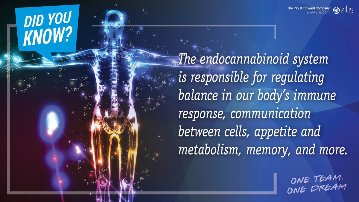 _danieljohnson_'s tweet photo. Did You Know
------------------------------------------
This is why our Full Spectrum Hemp Oil impacts each person in different ways. It works where YOU need it most!

Curious to know more? Contact me for more information or to get a 7-day trial!

#Zilis
#FullSpectrumHempOil
#CBD https://t.co/O8CMmV1pVJ