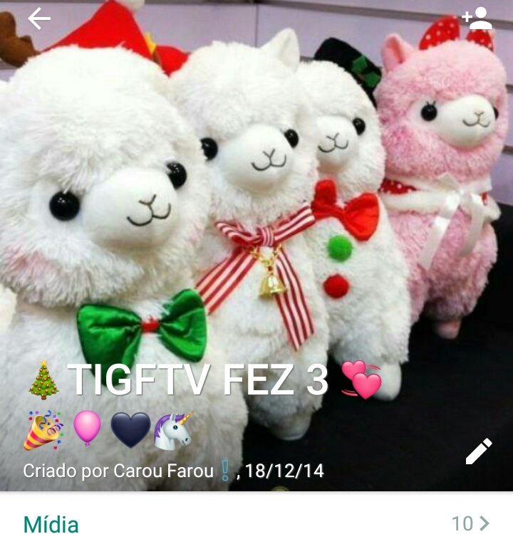 _JessicaCamila's tweet image. Porém, eu tô aqui pra falar que faz 3 anos que eu entrei no grupo que mudou a minha vida por completo. O grupo que me fez suportar 2015, que é meu apoio, meu presente e única coisa maravilhosa que Panic! At The Disco me deu. Eu amo vocês #TIGFTV ❤😘