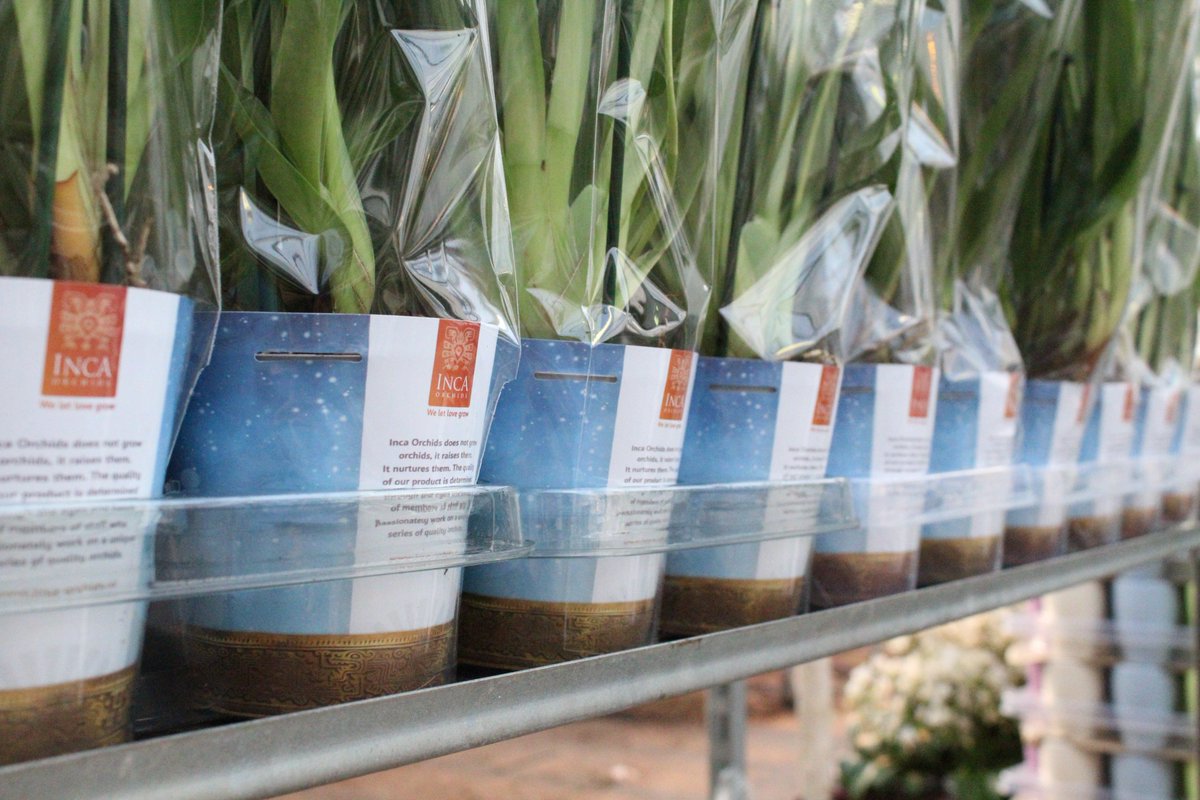 En daar gaan ze hoor! Onze nieuwe #potcovers! Wij eindigen het jaar goed door onze eerste karren met de nieuwe lijn uit te leveren! #trots #orchidee #bijnanieuwjaar #flowers