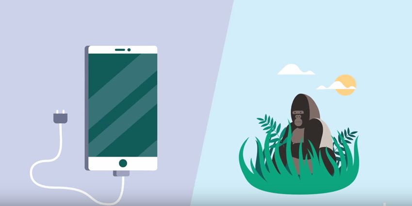 Wat een gsm en een gorilla met elkaar te maken hebben én met ons koopgedrag dewereldmorgen.be/artikel/2017/1… #BeBiodiversity @BeBiodiversity @be_gezondheid
