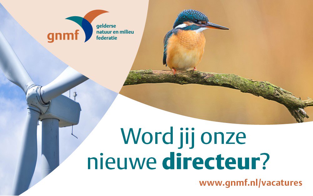 Word jij de nieuwe ondernemende directeur van de Gelderse Natuur en Milieufederatie? RT wordt gewaardeerd! gnmf.nl/nieuws/op-zoek…