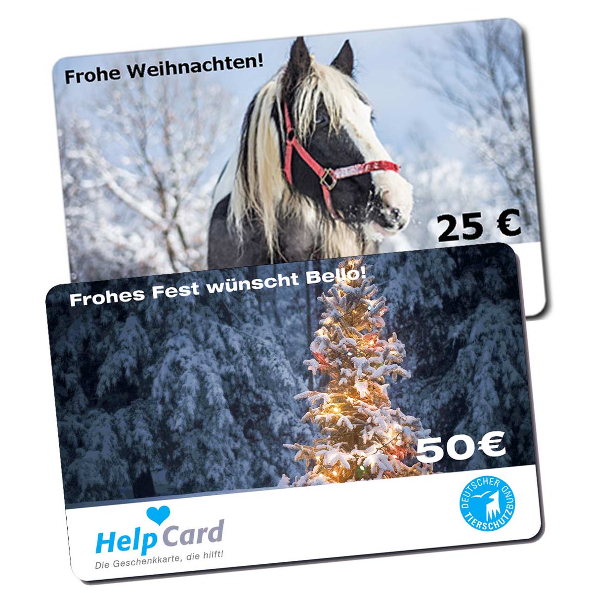 tierschutz_bund's tweet photo. Ein #Weihnachtsgeschenk, das Tieren hilft: Der Beschenkte kann selbst entscheiden, welches Tierschutzprojekt mit dem Wert der #HelpCard unterstützt werden soll. Mit eigenem Bild und Weihnachtsgruß individualisierbar. Auch als "E-HelpCard" erhältlich: https://t.co/obAf9sIRTN https://t.co/vkpVg7TB8r
