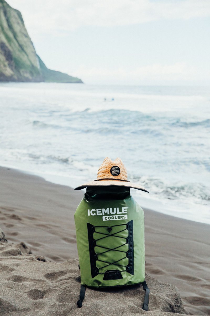 Alright slackers, one week until the big day. Don’t disappoint. Last day to get free shipping and get it on time.