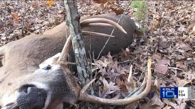 MDC Sets 2018 Deer and Turkey Hunting Dates dlvr.it/Q6WGgQ https://t.co/VrGea56zID