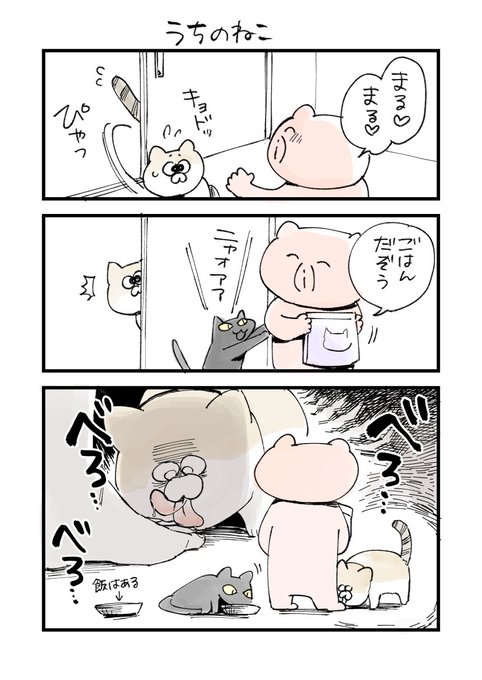 うちのねこ 