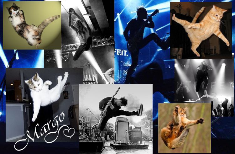 MargoMyaok's tweet photo. Two years ago God gave you wings!!! Fly to the top of fame and recognition!!! @counterfeitrock  ХХХХ  #Counterfeit #WeAreCounterfeit https://t.co/5PQ7NmmQws