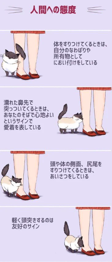 これでばっちり理解できちゃう？ww猫の気持ちを画像でわかりやすくご紹介！