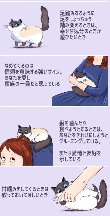 これでばっちり理解できちゃう？ww猫の気持ちを画像でわかりやすくご紹介！