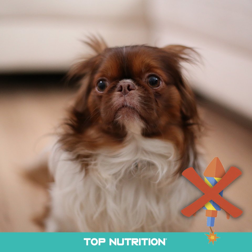 TopNutritionAr's tweet photo. Estas fiestas festejemos sin pirotecnia. #TopNutrition #SuperPremium https://t.co/FGx7oiluk2