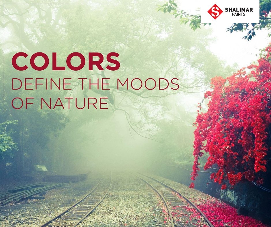 ShalimarPaints_'s tweet photo. Get your dose of #MondayMotivation from #ShalimarPaints and start your week with soothing shades of winterβ¦
#ColorQuote #ColorsofNature #NatureInspiration https://t.co/PPkxjuYEgl