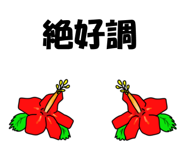 堅あげ太郎のラインスタンプ 宣伝用 A Twitter 新作のラインスタンプできました タイトル ハイビスカスと蝶 T Co Ivxlef3xn6