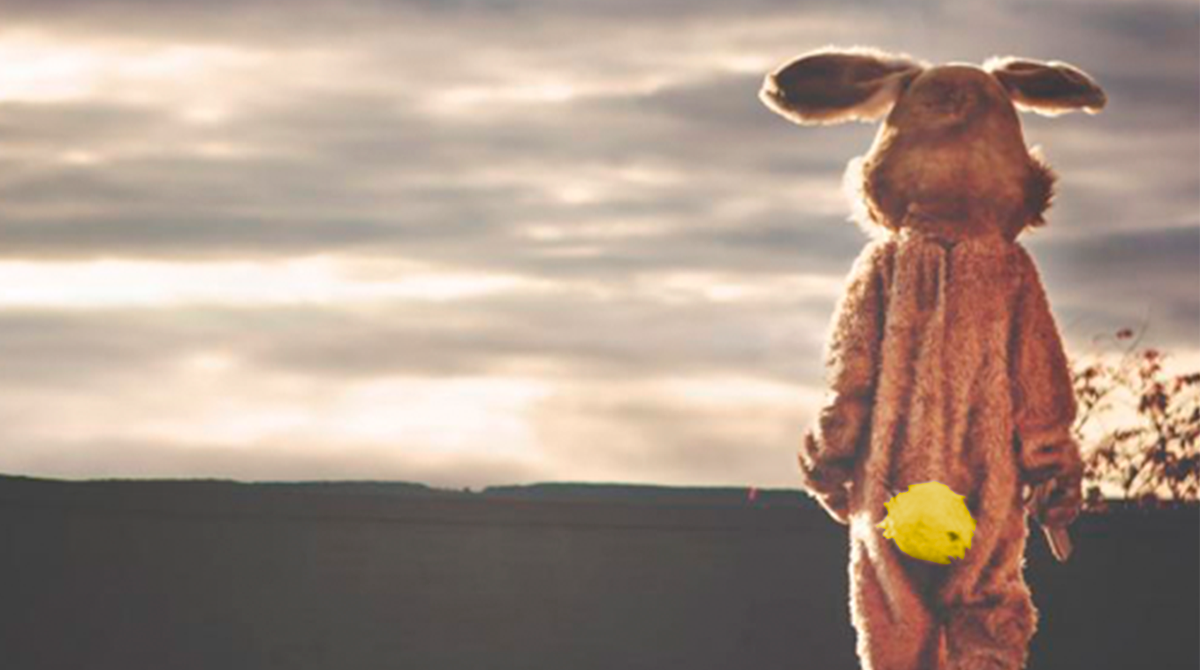 Opel's tweet photo. Sorry bunny, but this is not your time of the year. Hop on, little fella. 😂  #OpelXMas https://t.co/OOvvbMM8bu