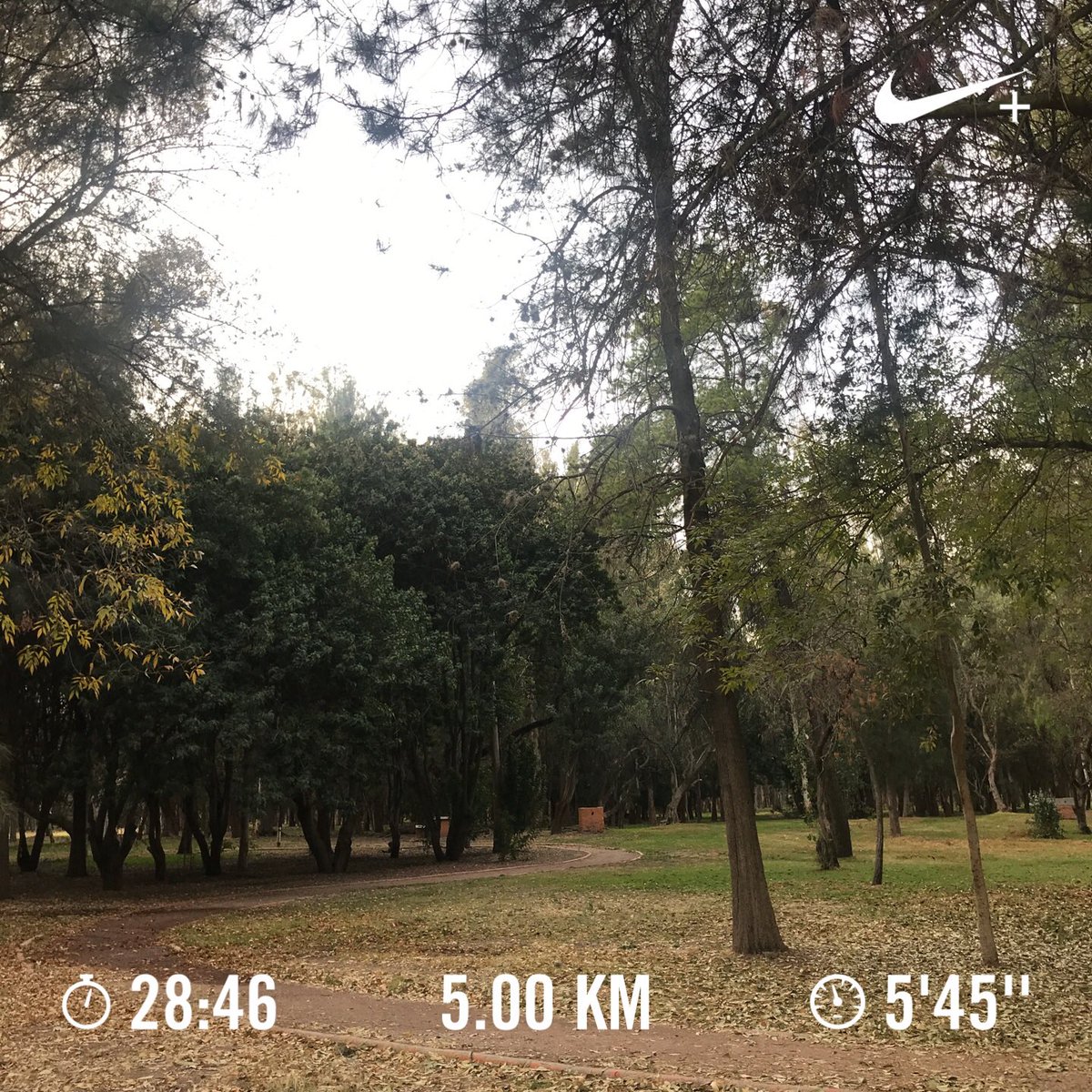 EriZanabria's tweet photo. Asi crudeo yo #YoElegiCorrer #MondayMotivation #fasterrun #runnergirl # https://t.co/hC4ZLZhOJS