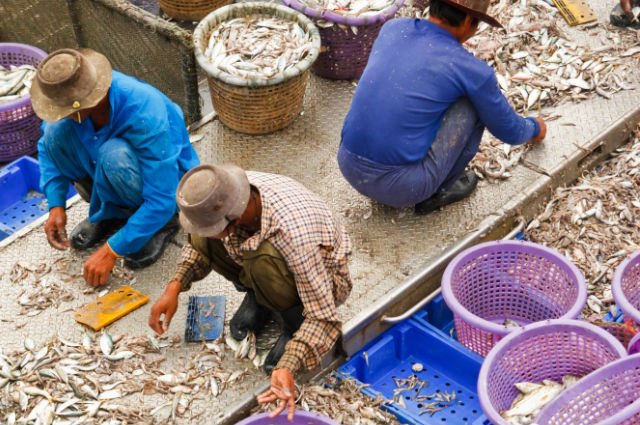 ihrb's tweet photo. Today is Int'l #Migrants Day! To mark 5 years of the Dhaka Principles for Migration w #Dignity, we've refreshed the DPs website, 16 translations AND Implementation Guide, PLUS new blog looking at progress in SE Asia. All here👉https://t.co/zdO44bNVsV #bizhumanrights #employerpays https://t.co/FGvovWBc23
