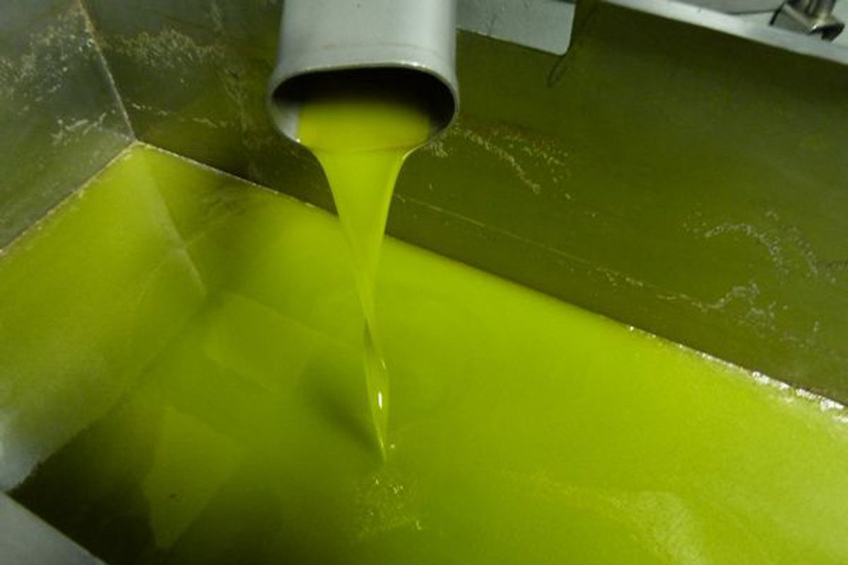 RTConsultancyRT's tweet photo. The last remaining Extra Virgin olive oils are on sale. Do not miss.

3,45 € Ex-Work. Ask for FOB. Flexibag. Minimum order must be 19/20 Tons.

#extravirgin #virgin #oliveoil #olive https://t.co/DXft6HFP0Z