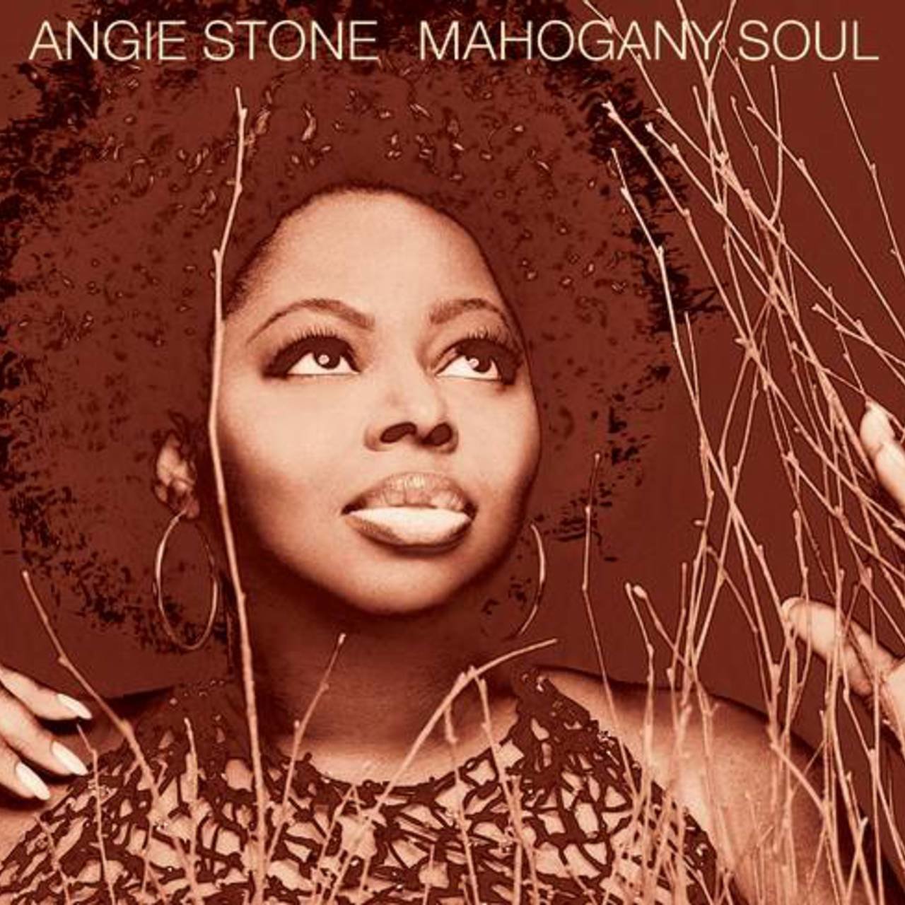 Play this album today. Happy 56th birthday to Angie Stone. 