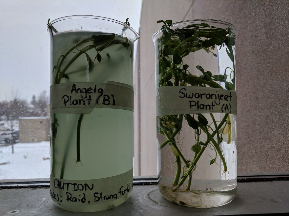 Jordan Thakar tweet media