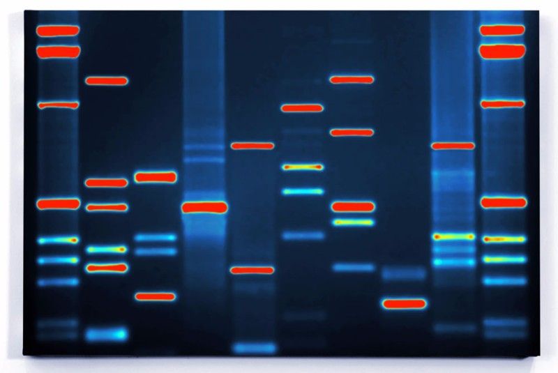 RebelBio's tweet image. Happy #Monday! It's not too late: These are 10 awesome #biotech-inspired #gift ideas for the holidays. Get a bio-computer by @cellfreetech! Via @Labiotech_eu buff.ly/2C4vOeu