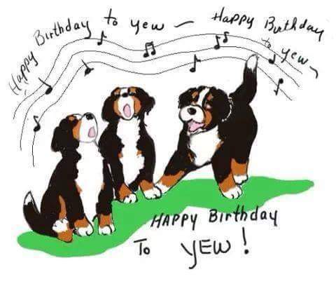   Happy Birthday to Ray Liotta.  