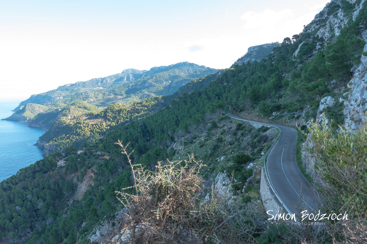 JudyAndSimon's tweet photo. Mallorca im Winter ist ein Gedicht :)
https://t.co/kPaYBqDUE5
#Mallorca #Winter #TravelBlog #Baleares #PalmaDeMallorca https://t.co/c3sph3Vz9z