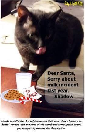 SAHKCatSitter's tweet photo. #KittyLetterstoSantaClaws https://t.co/EuBxtgXHj7