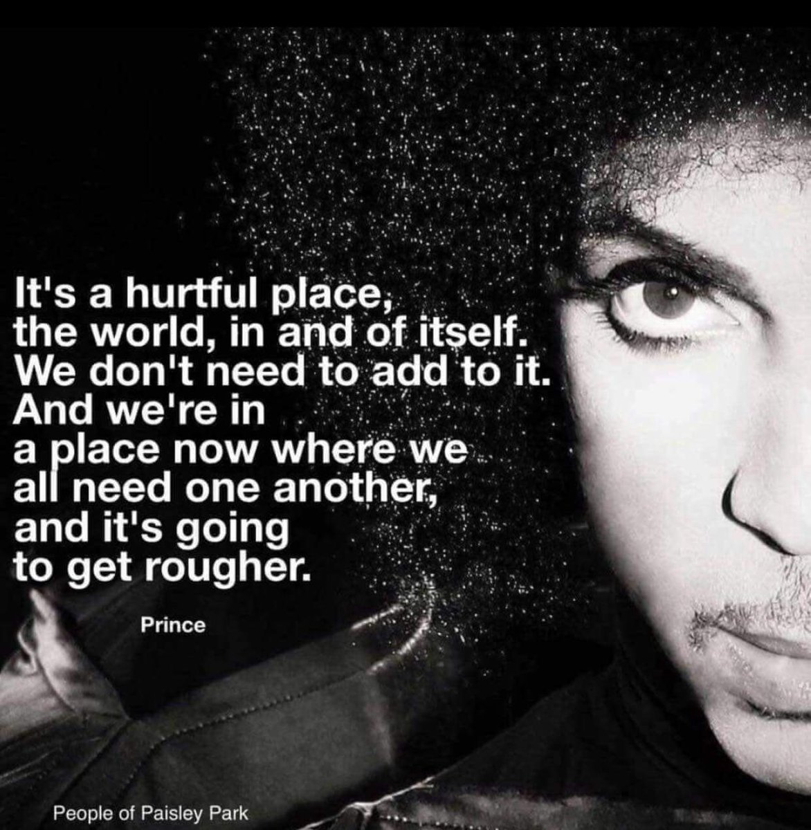 Good Brother Steve (@stevebennett7) on Twitter photo 