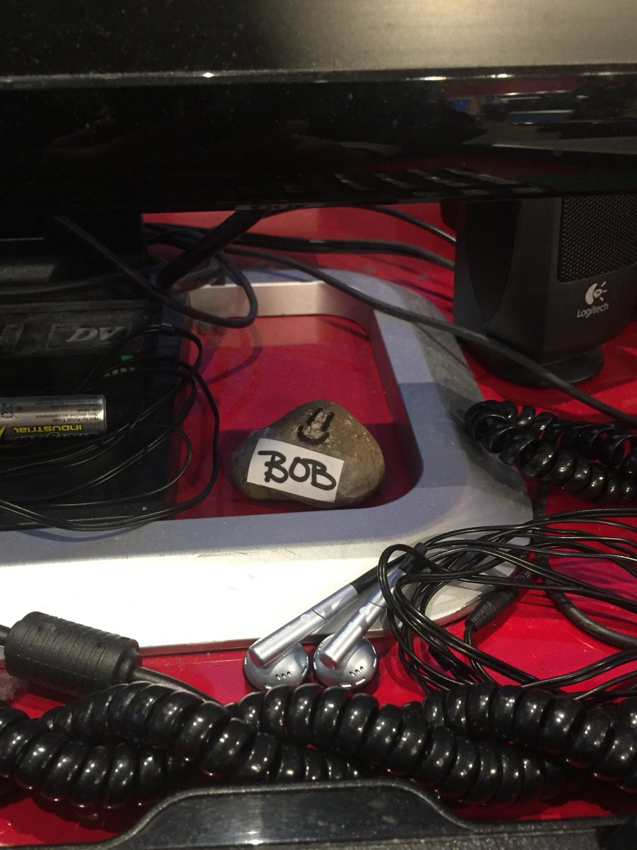MattHoliner's tweet photo. We have a pet in the @KRGV_Weather office. A pet rock that is. His name is Bob. He doesn’t say much and we really don’t know where he came from. We might need a new mascot...haha. #weatherrock https://t.co/NxPMk0AVSu