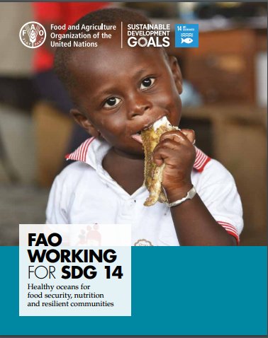 #Nowreading - #UNFAO working for #SDG14: Healthy #oceans for #foodsecurity, #nutrition and resilient #communities. fao.org/3/a-i7298e.pdf