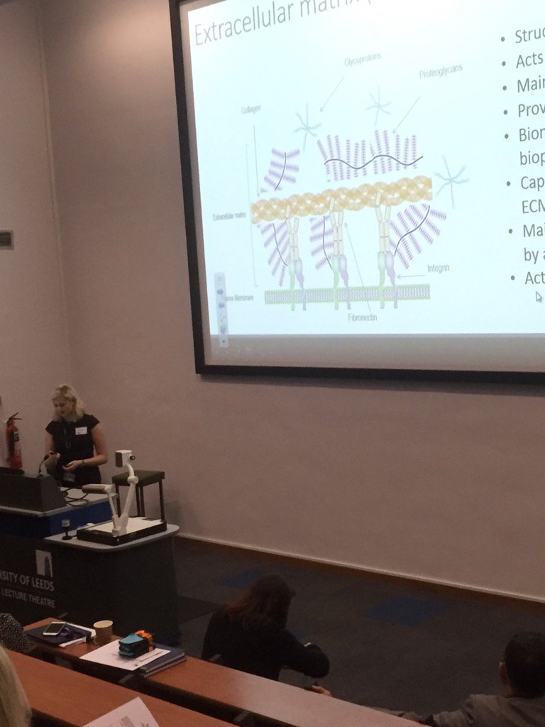 Prof_Hatton's tweet photo. Amy Harding presenting at #biteg (yes we have a lot of presenters!) @ShefDentistry https://t.co/Vn6r2ZqQvj