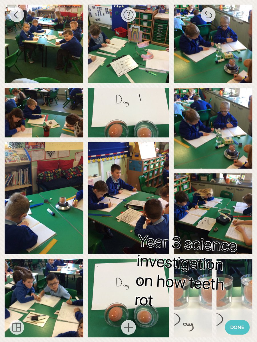 hddpyear3's tweet photo. Year 3 science experiments https://t.co/VYdL33ts9m