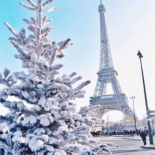 SeasonalFeels's tweet photo. https://t.co/krS8F26jhQ